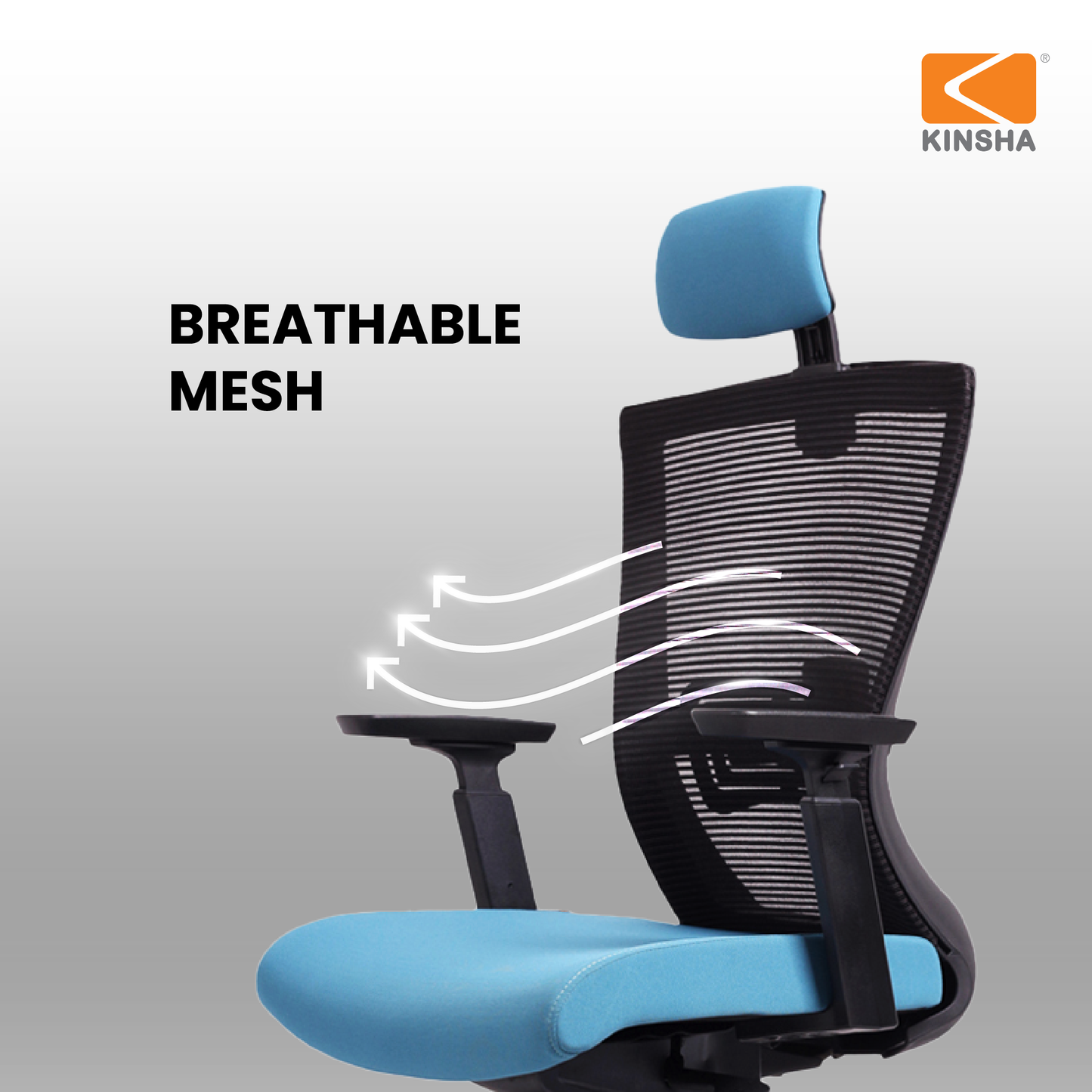 Curve CVA-01 Highback